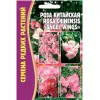 Роза китайская (ROSA CHINENSIS) ANGEL WINGS  10 шт РЕДКИЕ СЕМЕНА