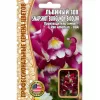 Львиный  Зев SNAPSHOT BURGUNDY BICOLOR F1 5 шт РЕДКИЕ СЕМЕНА