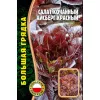 Салат кочанный Айсберг красный 1000 шт РЕДКИЕ СЕМЕНА
