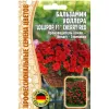 Бальзамин Уоллера LOLLIPOP CHERRY RED F1 5 шт РЕДКИЕ СЕМЕНА
