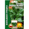 Петрушка листовая польская  5 г РЕДКИЕ СЕМЕНА