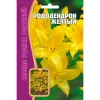 Рододендрон Желтый 25 шт РЕДКИЕ СЕМЕНА