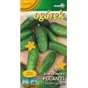 Огурец Полан F1 LOBELIA II 5 г