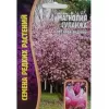 Магнолия Суланжа 3 шт РЕДКИЕ СЕМЕНА
