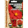 Космос Карпет Ред карликовый серножелтый 5 шт РЕДКИЕ СЕМЕНА