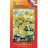 Эустома срезочная Мэйдж йеллоу F1 5 шт НК