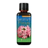 GT GERANIUM FOCUS для герани 300 мл