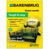Газон Суперстойкий Ультра 1 кг BARENBRUG