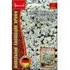 Алиссум GIGA WHITE ампельная 5 шт РЕДКИЕ СЕМЕНА