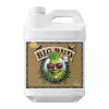 ADVANCED NUTRIENTS BIG BUD COCO LIQUID стимулятор образования соцветий