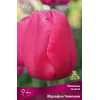 Тюльпан триумф Марафон Чемпион 10 шт ПОИСК