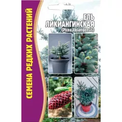 Ель Ликиангинская  15 шт РЕДКИЕ СЕМЕНА