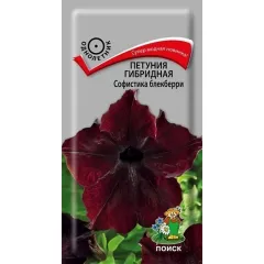 Петуния гибридная Софистика Блекберри 5 шт ПОИСК
