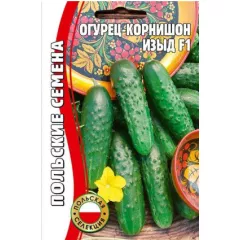 Огурец Изыд (корнишон) 10 шт РЕДКИЕ СЕМЕНА