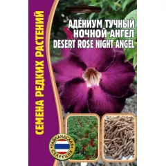 Адениум Тучный Ночной ангел 3 шт РЕДКИЕ СЕМЕНА