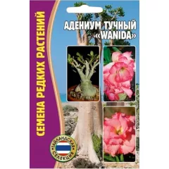 Адениум тучный WANIDA 3 шт РЕДКИЕ СЕМЕНА