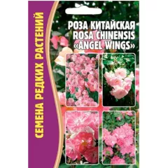 Роза китайская (ROSA CHINENSIS) ANGEL WINGS  10 шт РЕДКИЕ СЕМЕНА