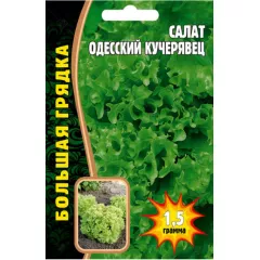 Салат Одесский Кучерявец 1,5 г РЕДКИЕ СЕМЕНА