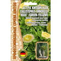 Астра китайская HULK (GREEN-YELLOW) 5 шт РЕДКИЕ СЕМЕНА