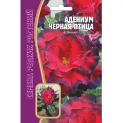 Адениум Черная птица 3 шт РЕДКИЕ СЕМЕНА