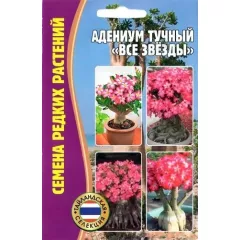 Адениум тучный Все звезды 3 шт РЕДКИЕ СЕМЕНА