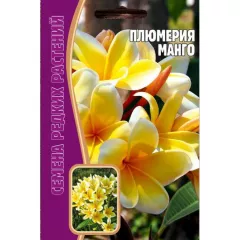 Плюмерия Манго 3 шт РЕДКИЕ СЕМЕНА