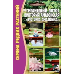 Лотос Гигантский Виктория Амазонская 2 шт РЕДКИЕ СЕМЕНА