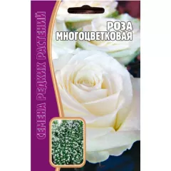 Роза Многоцветковая Белая 7 шт РЕДКИЕ СЕМЕНА