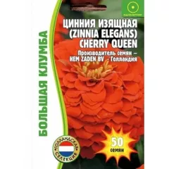 Цинния Черри Квин изящная 50 шт  РЕДКИЕ СЕМЕНА