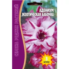 Адениум Экзотическая Бабочка 3 шт РЕДКИЕ СЕМЕНА
