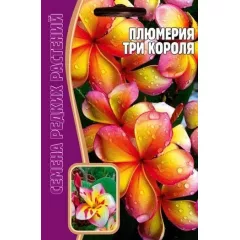 Плюмерия Три короля 3 шт РЕДКИЕ СЕМЕНА