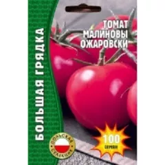 Томат Ожаровский Малиновый 100 шт РЕДКИЕ СЕМЕНА