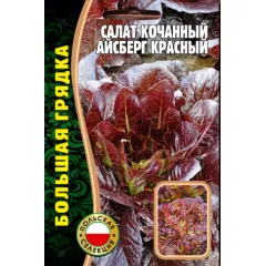 Салат кочанный Айсберг красный 1000 шт РЕДКИЕ СЕМЕНА