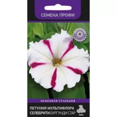 Петуния мультифлора Селебрити Бургунди стар 30 шт ПОИСК