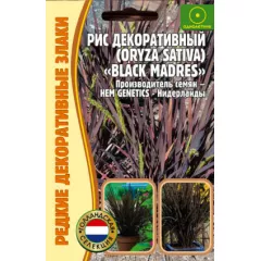 Рис декоративный 0,1 г РЕДКИЕ СЕМЕНА