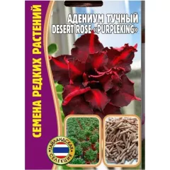 Адениум Тучный DESERT ROSE  PURPLEKING  3 шт РЕДКИЕ СЕМЕНА