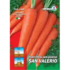 Морковь Сан Валерио LOBELIA II 3 г