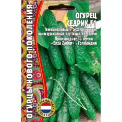 Огурец Седрик F1 7 шт РЕДКИЕ СЕМЕНА