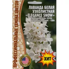 Лаванда белая ELEGANCE SNOW  5 шт РЕДКИЕ СЕМЕНА