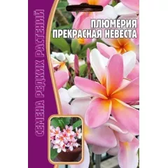 Плюмерия Прекрасная Невеста 3 шт РЕДКИЕ СЕМЕНА