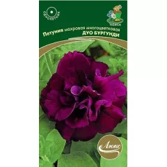 Петуния махровая многоцветковая Дуо Бургунди 10 шт ПОИСК