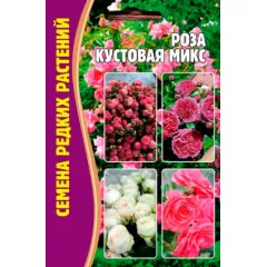 Роза кустовая Микс 10 шт РЕДКИЕ СЕМЕНА