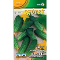 Огурец Борус F1 LOBELIA II 5 г