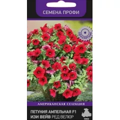 Петуния ампельная Изи Вейв F1 Ред Велюр 5 шт ПОИСК