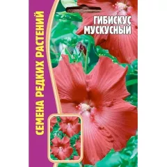 Гибискус Мускусный 5 шт РЕДКИЕ СЕМЕНА