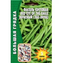 Фасоль куст.  Орлиный Глаз 5 г РЕДКИЕ СЕМЕНА