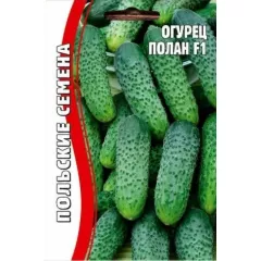 Огурец Полан 10 шт РЕДКИЕ СЕМЕНА