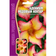 Адениум Медовый нектар 3 шт РЕДКИЕ СЕМЕНА