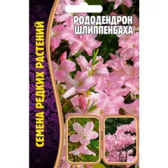 Рододендрон Шлиппенбаха 0,01 г РЕДКИЕ СЕМЕНА