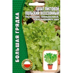 Салат листовой Польский Всесезонный 1000 шт РЕДКИЕ СЕМЕНА